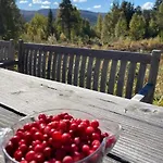 Hébergement de vacances In Near Fishing, Hiking And Skiing Rauland