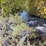 Hébergement de vacances In Near Fishing, Hiking And Skiing Rauland