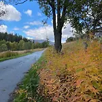 In Near Fishing, Hiking And Skiing Rauland