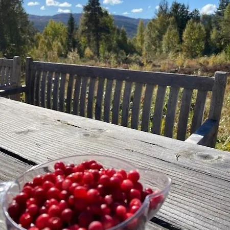 Ferienhaus In Near Fishing, Hiking And Skiing Rauland