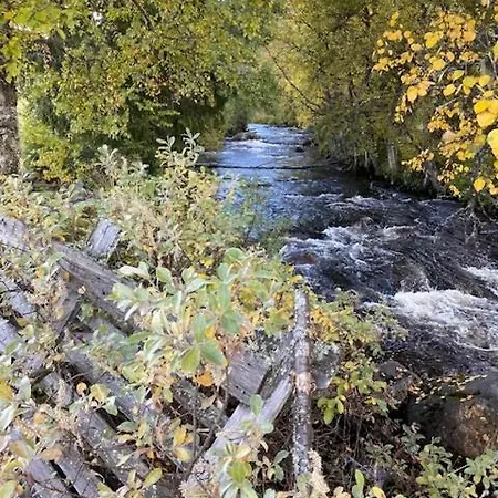 度假居 In Near Fishing, Hiking And Skiing Rauland