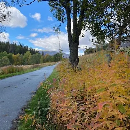 In Near Fishing, Hiking And Skiing Rauland