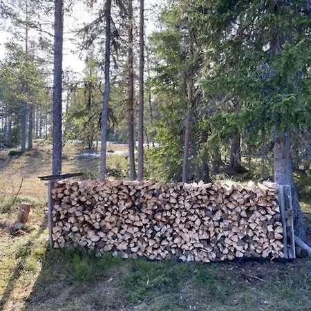 度假居 In Near Fishing, Hiking And Skiing Rauland