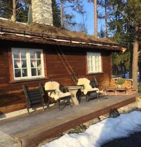 In Near Fishing, Hiking And Skiing Rauland