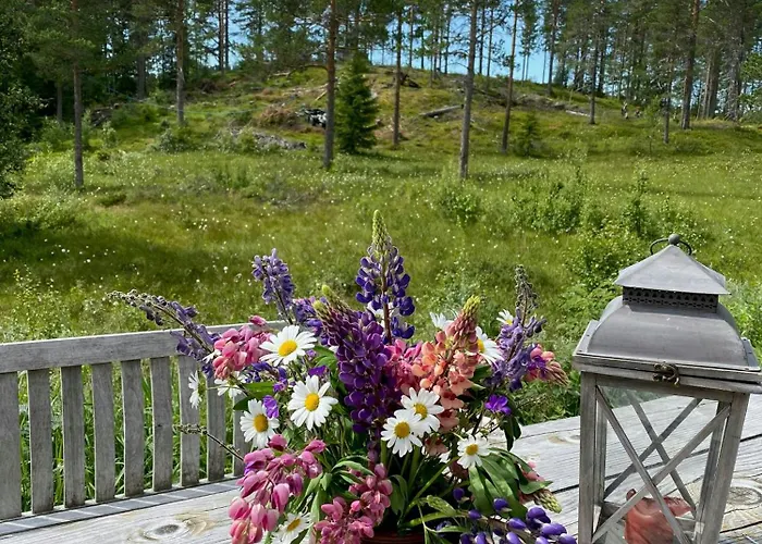 In Near Fishing, Hiking And Skiing Rauland