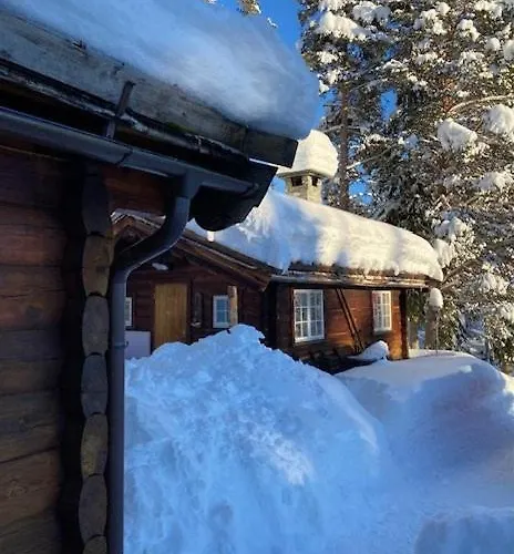 In Near Fishing, Hiking And Skiing Semesterbostad