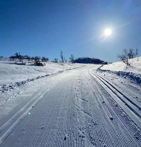 Semesterbostad In Near Fishing, Hiking And Skiing *
