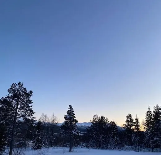 Semesterbostad In Near Fishing, Hiking And Skiing Rauland