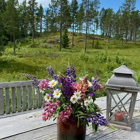 In Near Fishing, Hiking And Skiing Rauland
