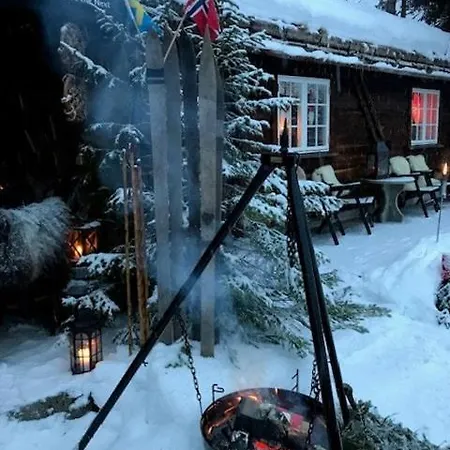 Vakantiehuis In Near Fishing, Hiking And Skiing Rauland