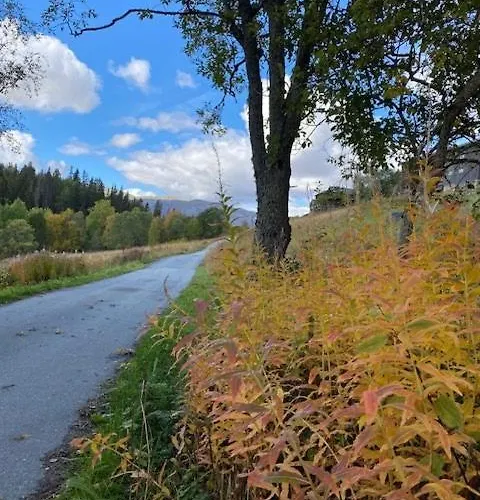 In Near Fishing, Hiking And Skiing Rauland